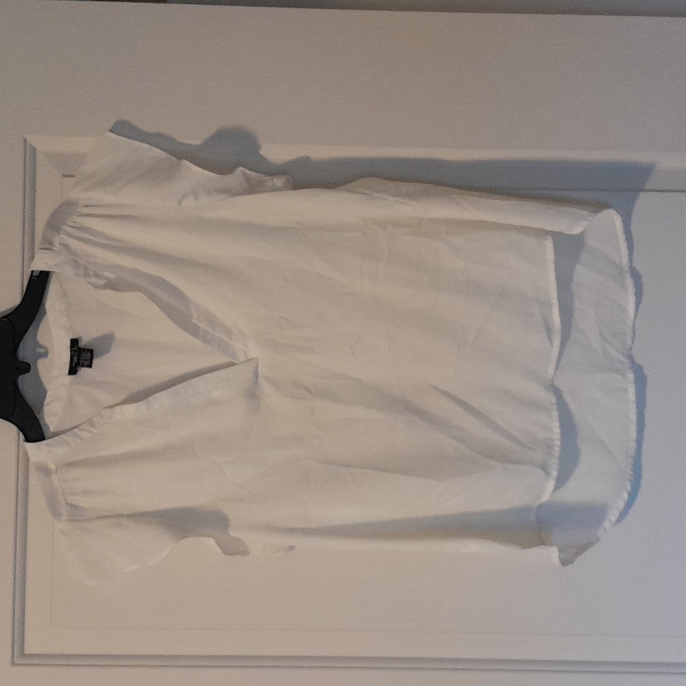 Sheer White Blouse